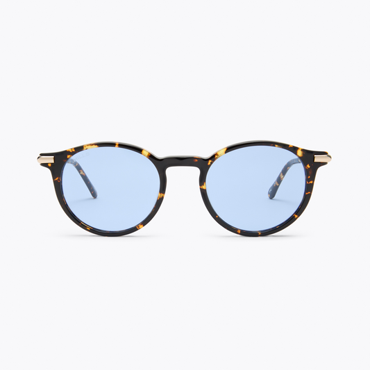 H1 Roland Tortoise/blue