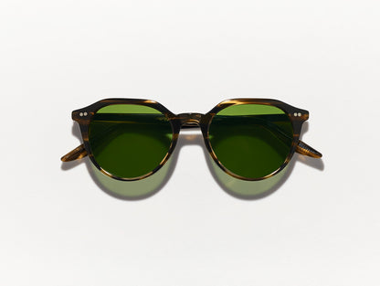 Kitzel Sun