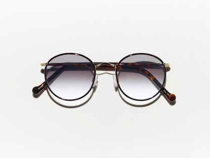 Zev Tortoise With Custom Made Tints™