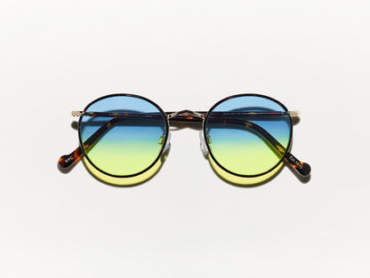 Zev Tortoise With Custom Made Tints™