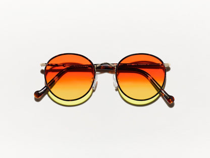 Zev Tortoise With Custom Made Tints™